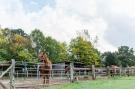 VakantiehuisDuitsland - Lüneburger Heide: Lüneburger Heide