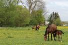 FerienhausDeutschland - : Am Hellbachtal Nr 2