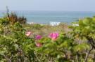 Holiday homeGermany - : Ostseeblick Kühlungsborn mit Terrasse und Garten