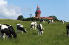 FerienhausDeutschland - : Landhaus bei Kühlungsborn