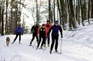 FerienhausDeutschland - Sauerland: Ferienwohnung II Diemelsee