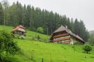 FerienhausDeutschland - Schwarzwald: Schwarzwald - Sommeracker