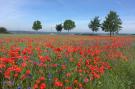 Holiday homeGermany - Eifel: Blick zu Luxemburg