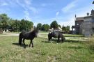 FerienhausDeutschland - : Landgut Detershagen L