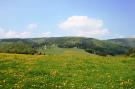 Holiday homeGermany - Sauerland: Am Iberg