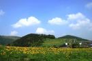 VakantiehuisDuitsland - Sauerland: Am Iberg