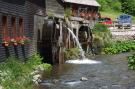 FerienhausDeutschland - Schwarzwald: Niedereschach