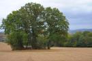 Holiday homeGermany - Eifel: Waldferienpark Gerolstein 1