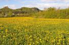 Holiday homeGermany - Eifel: Waldferienpark Gerolstein 1