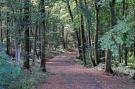 Holiday homeGermany - Eifel: Waldferienpark Gerolstein 1