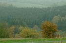 FerienhausDeutschland - Eifel: Waldferienpark Gerolstein 1