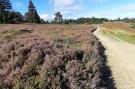 Holiday homeGermany - Sauerland: Blokhuis Winterberg Molen