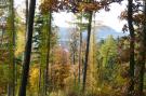 FerienhausDeutschland - : Naturstammhaus