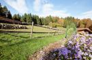 Holiday homeGermany - Black Forest: Schwarzwaldhaus Pferdeklause