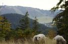 FerienhausDeutschland - Sauerland: Aarbachblick