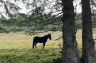 Holiday homeGermany - Sauerland: Aarbachblick