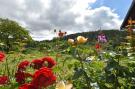 FerienhausDeutschland - Sauerland: Deifeld