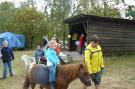 FerienhausDeutschland - Lüneburger Heide: Ericaheidepark