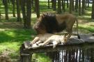 VakantiehuisDuitsland - Lüneburger Heide: Ericaheidepark