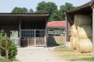 FerienhausDeutschland - Lüneburger Heide: Lüneburger Heide