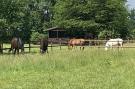 VakantiehuisDuitsland - Lüneburger Heide: Lüneburger Heide