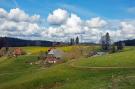 FerienhausDeutschland - Schwarzwald: Haus Wasser