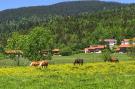 VakantiehuisDuitsland - : Chalet Chiemgau, Inzell-Haus Nr.10