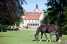 Holiday homeGermany - : Haus Oliver 200 qm /1-6 Personen  [19] 