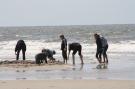 FerienhausDeutschland - : Ferienhaus Sturmschwalbe St Peter-Ording