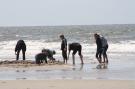 VakantiehuisDuitsland - : Doppelhaushälfte Molina St Peter-Ording / 1-4 Pers