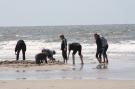 VakantiehuisDuitsland - : Doppelhaushälfte Molina St Peter-Ording / 6 Person