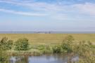 VakantiehuisDuitsland - : SeeZeichen auf Nordstrand