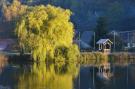 FerienhausDeutschland - : Ferienhaus in Hasselfelde - Haus 13 Blauvogel