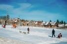 Holiday homeGermany - : Ferienhaus Typ Premium Lodge Plus 5 Personen