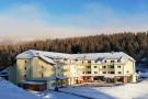 Holiday homeGermany - Black Forest: Residenz Grafenmatt - Typ B