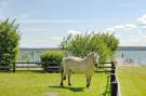 Holiday homeGermany - : Ferienhaus in Plau am See