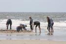 FerienhausDeutschland - : Ferienwohnung Springfloot 2 St Peter-Ording