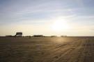 FerienhausDeutschland - : Reihenhaus Deichblick 2 Pers St Peter - Ording