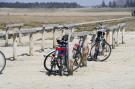 VakantiehuisDuitsland - : Ferienwohnung Atlantic St Peter - Ording