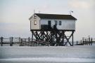 Holiday homeGermany - : Fewo Gröde St Peter-Ording