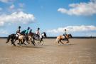 VakantiehuisDuitsland - : Ferienwohnung Ost im Reetdachhaus auf Pellworm