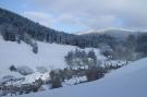 FerienhausDeutschland - : Ferienapartment Frosch in Wildemann Harz