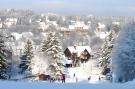 VakantiehuisDuitsland - : Ferienwohnung Bockwiese-Hahnenklee