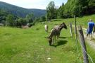 FerienhausDeutschland - Schwarzwald: Brandenberg