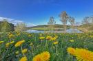 VakantiehuisDuitsland - : FERIENDORF SEEBLICK - Tiny Chalet am Eixendorfer S