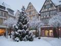 Holiday homeGermany - : 100283