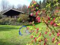 Holiday homeGermany - : 23958