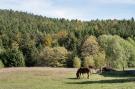 FerienhausDeutschland - Schwarzwald: Altes Forsthaus