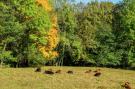 FerienhausDeutschland - Schwarzwald: Altes Forsthaus