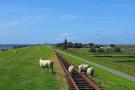 FerienhausDeutschland - : Niebüll-Ferienhaus Seebrise